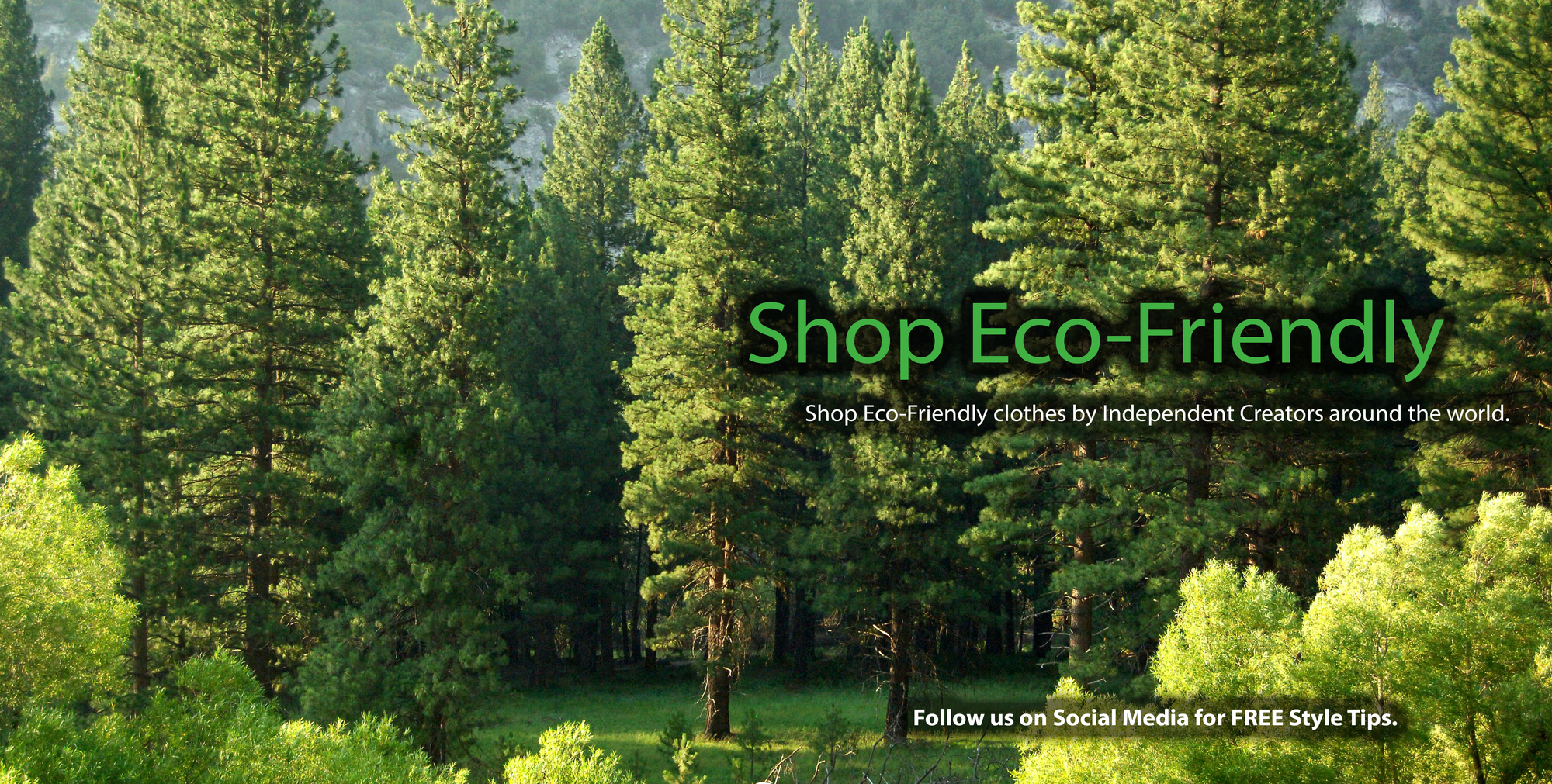 Shop and Buy Eco-Friendly Clothes