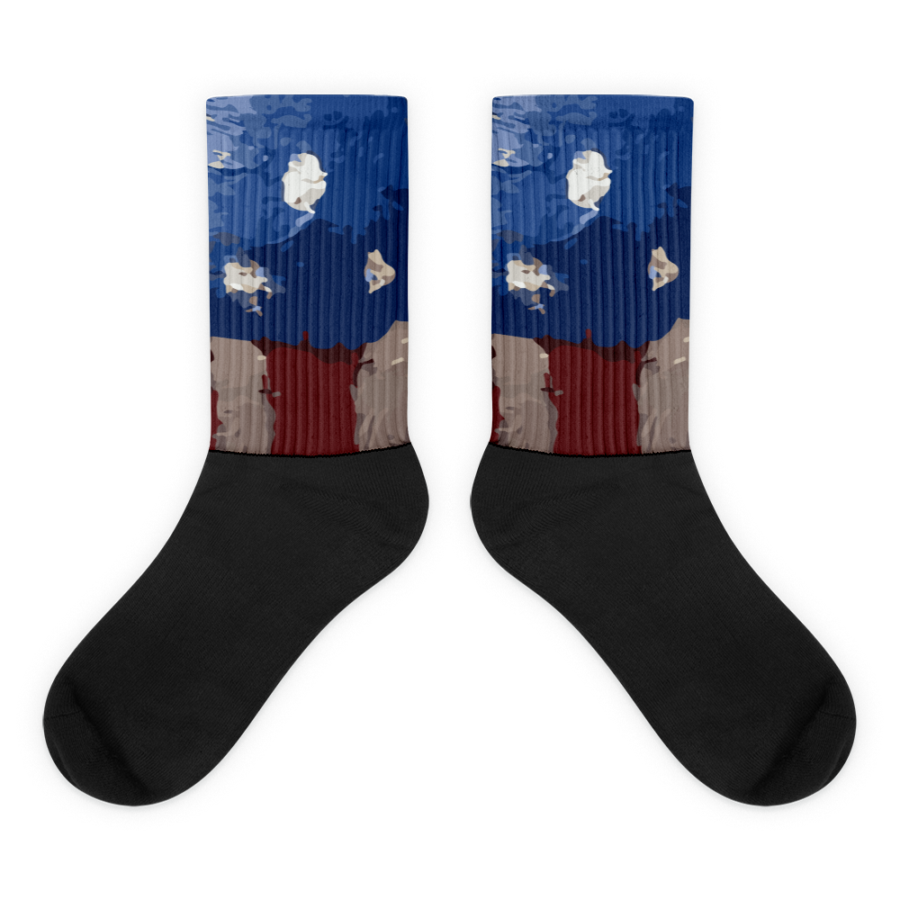HDLV-USA Socks