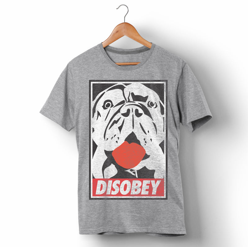 DISOBEY | Grey  Shirt