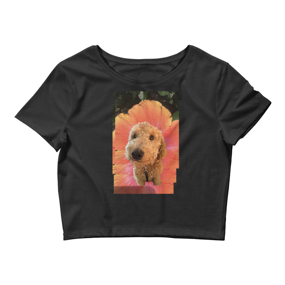 Shop and Buy Dog T-shirts